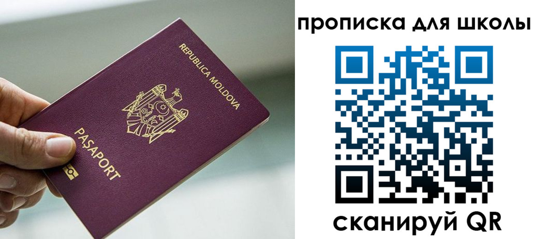 прописка в квартире в Коломне